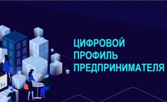 В России появился цифровой профиль предпринимателя для упрощения доступа к мерам господдержки В России появился цифровой профиль предпринимателя для упрощения доступа к мерам господдержки