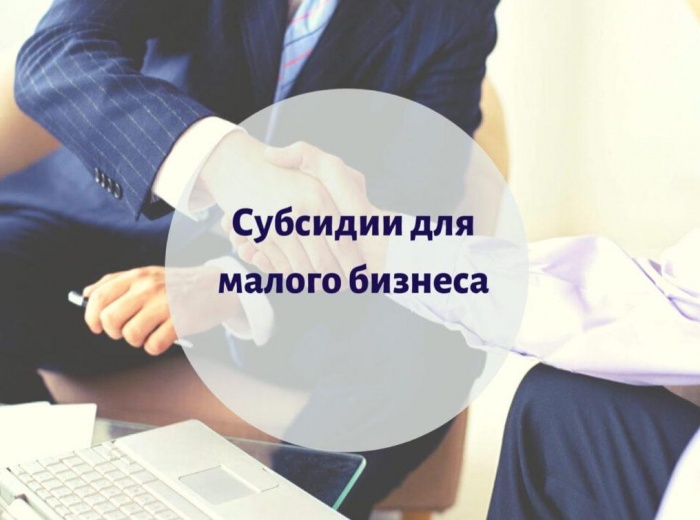 Правительство утвердило правила предоставления субсидий малому бизнесу и социально ориентированным НКО