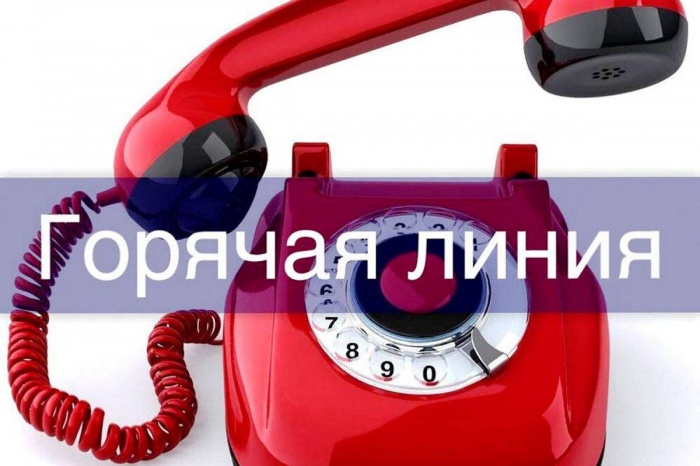 "Горячая линия" для предпринимателей региона продолжает свою работу